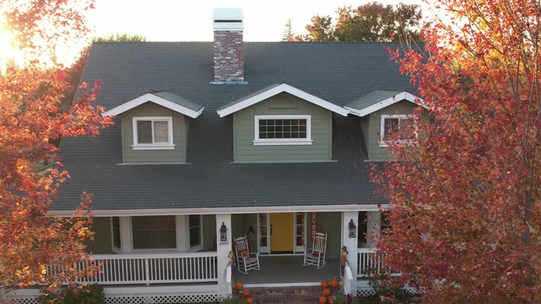 Best Roof Maintenance and Cleaning  in Elon, NC