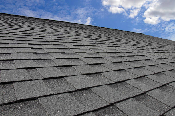 Best Roof Waterproofing  in Elon, NC